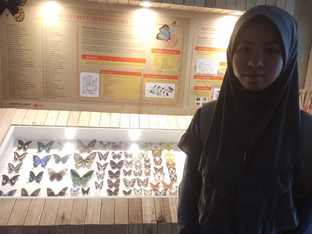 Soal FPB dan KPK OSN SD